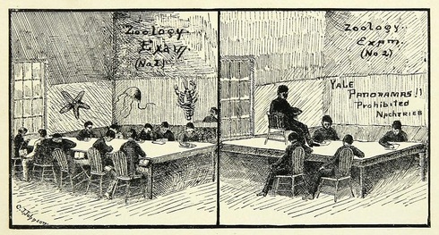 Yearbook-1888-Zoology.jpg
